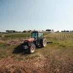 La Marletta Farm stay Imola