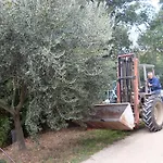 Farm stay La Marletta *