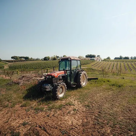 La Marletta Farma Imola