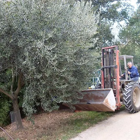 Alloggio per agriturismo La Marletta *