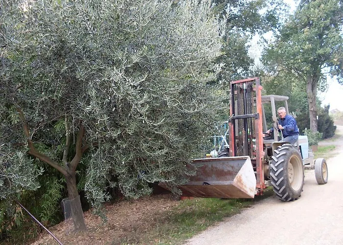 Çiftlik konaklama La Marletta *